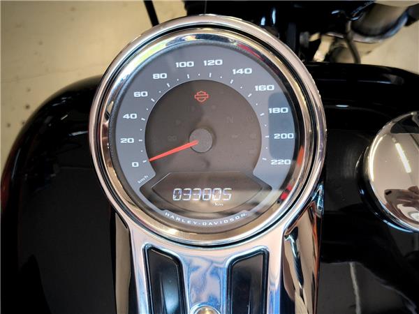 Harley-Davidson Softail-Cruiser