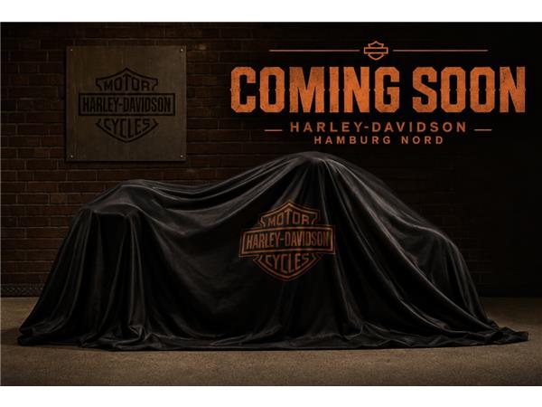 FLTRXSE Road Glide CVO CVO J&H