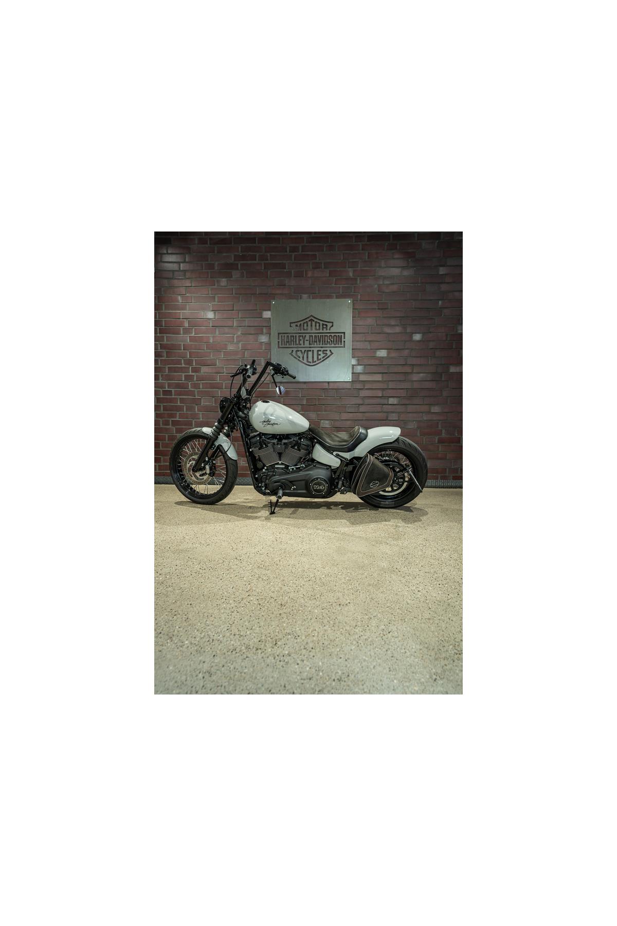 FXBBS Softail Street Bob UMBAU