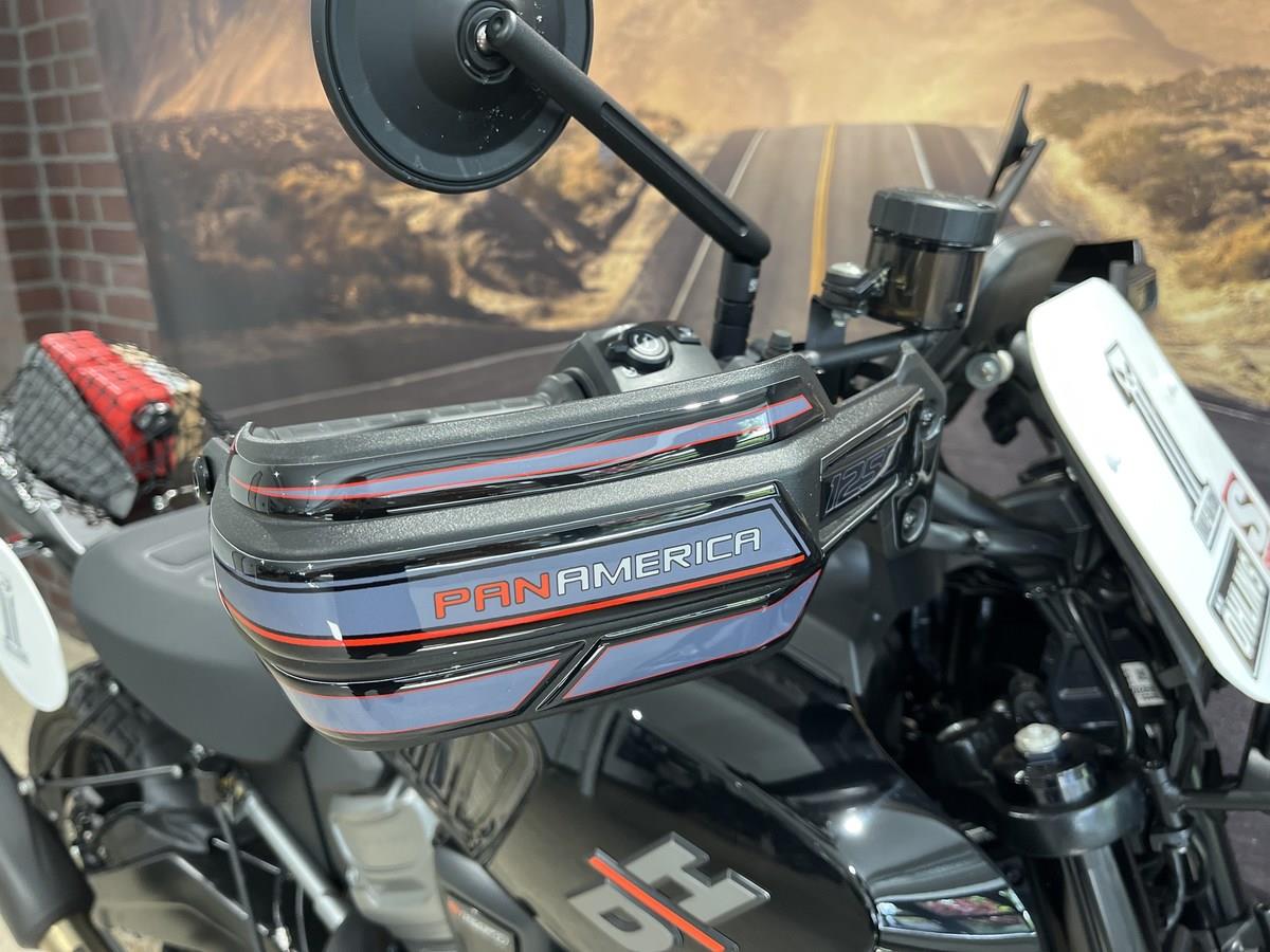 RA 1250 Pan America UMBAU