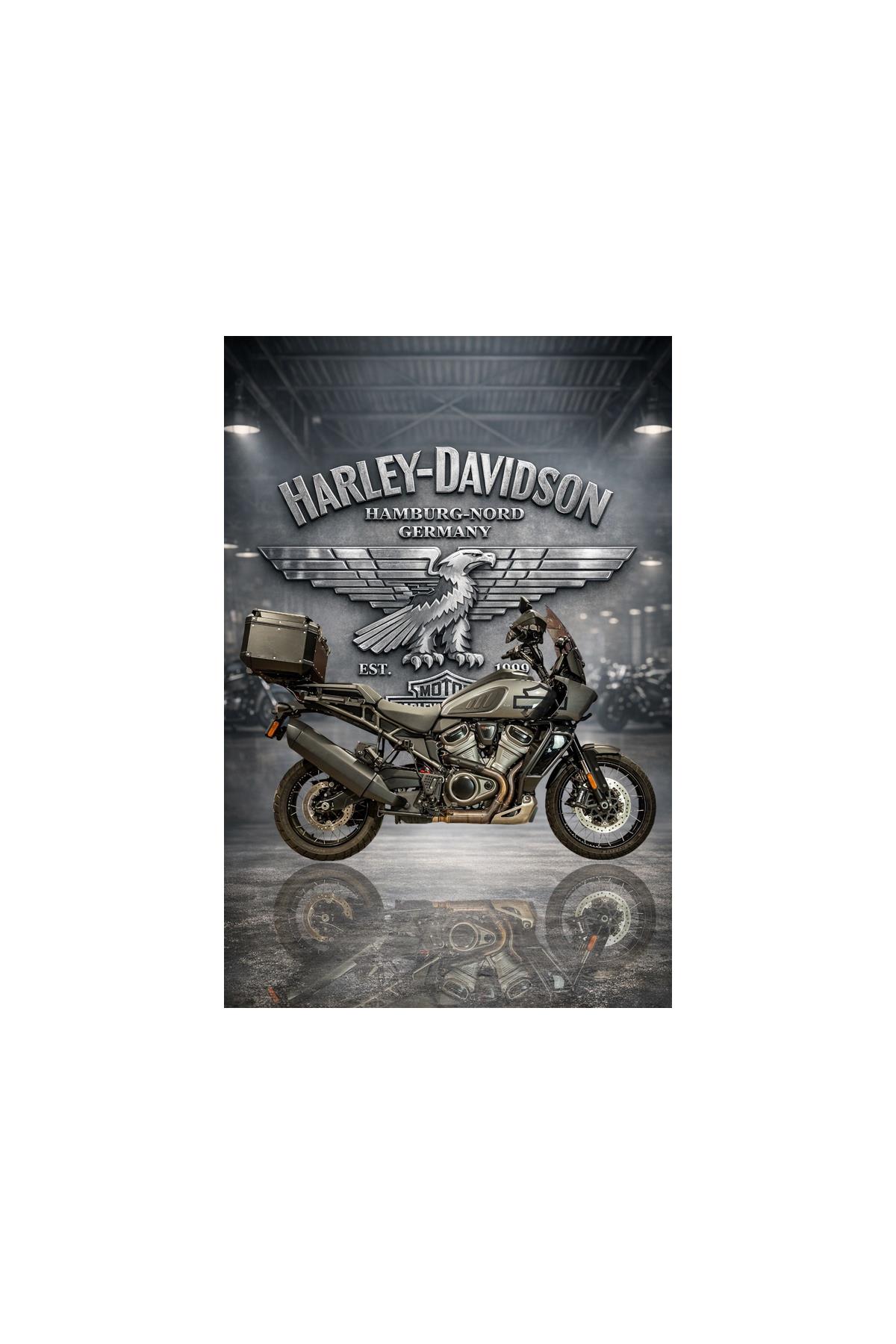 RA1250S Pan America Special 