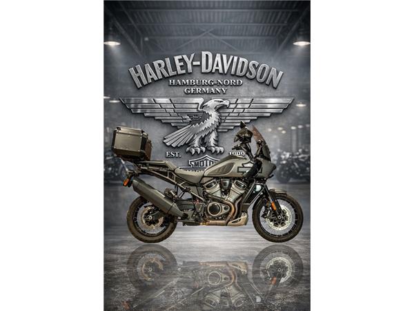 RA1250S Pan America Special 