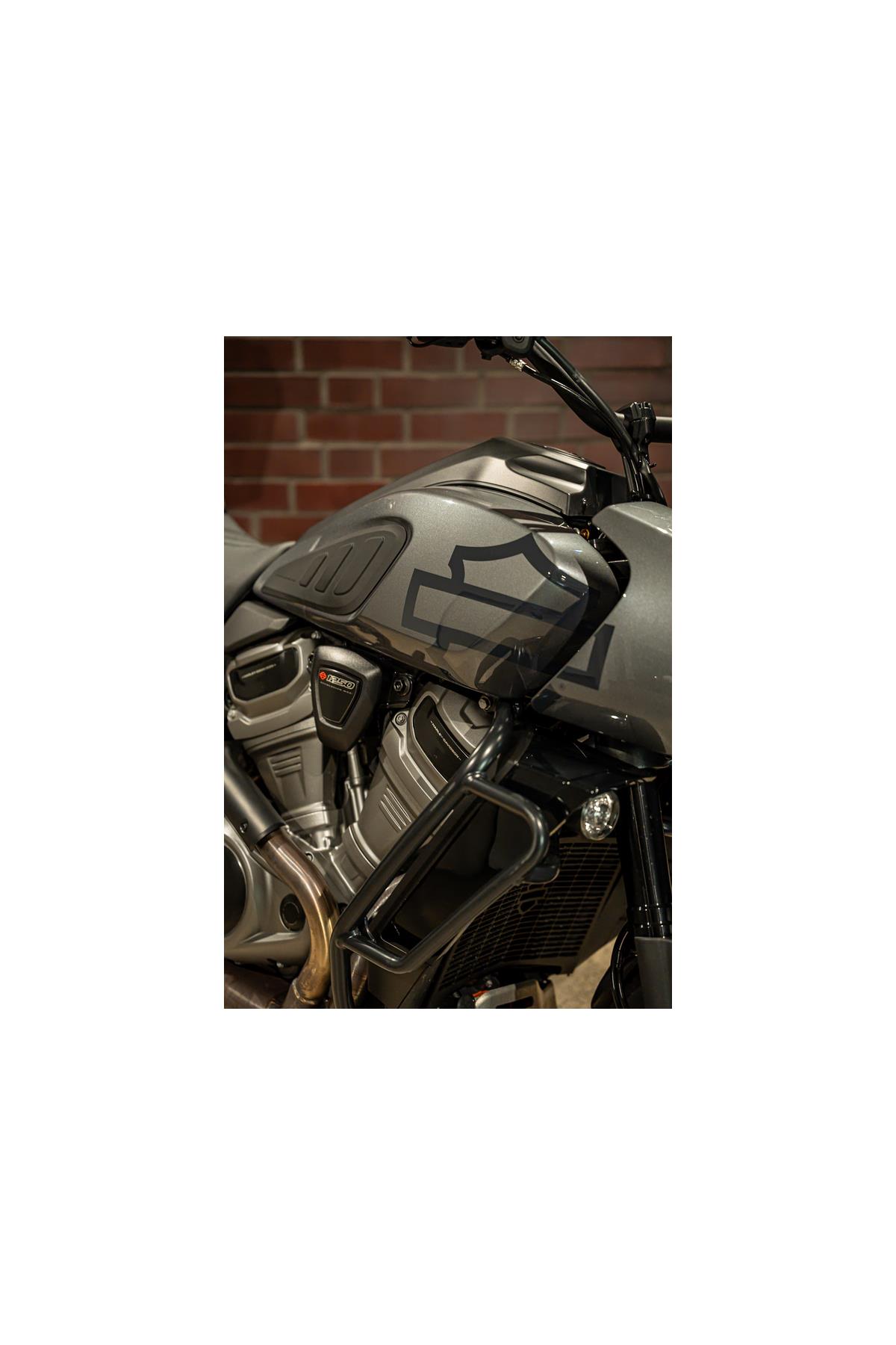 RA1250S Pan America Special 