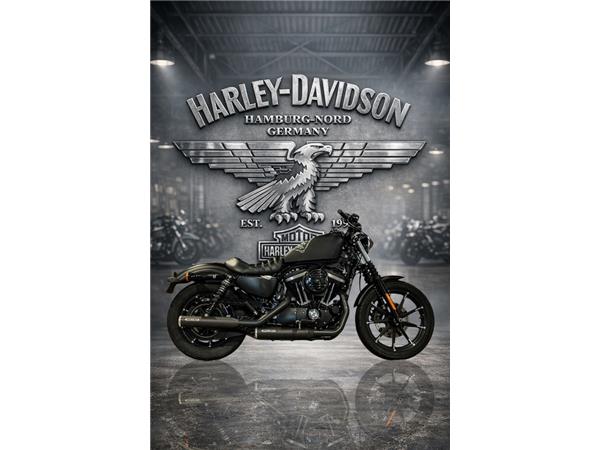 XL883N Sportster IRON 883 MILLER
