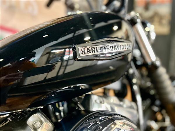 2026 Harley-Davidson Softail