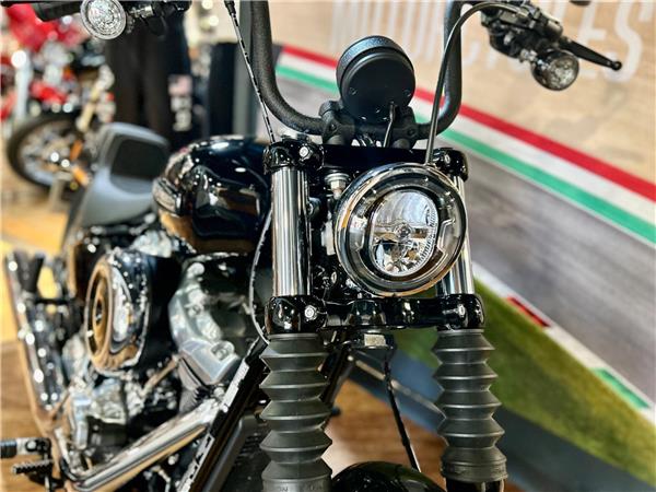 2026 Harley-Davidson Softail