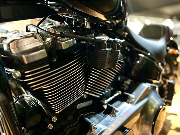 2026 Harley-Davidson Softail