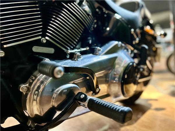 2026 Harley-Davidson Softail