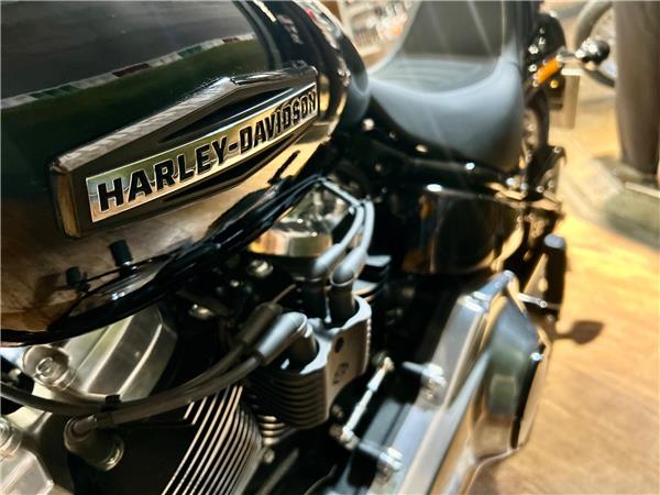 2026 Harley-Davidson Softail