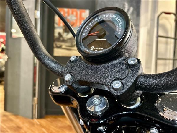 2026 Harley-Davidson Softail