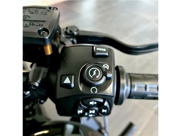 HARLEY-DAVIDSON SPORTSTER S 