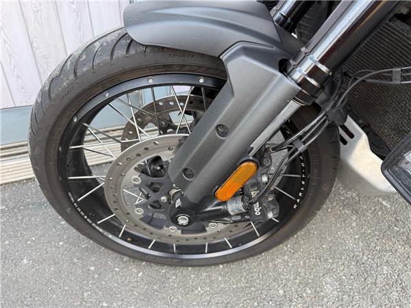 2021 HARLEY-DAVIDSON ADVENTURE TOURING RA1250S PAN AMERICA 1250 SPECIAL