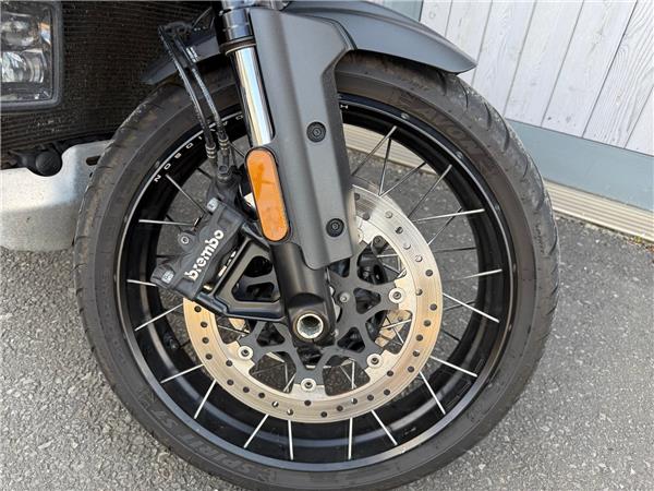 2021 HARLEY-DAVIDSON ADVENTURE TOURING RA1250S PAN AMERICA 1250 SPECIAL