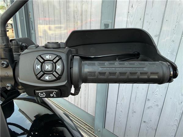 2021 HARLEY-DAVIDSON ADVENTURE TOURING RA1250S PAN AMERICA 1250 SPECIAL