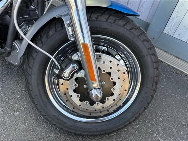 2009 HARLEY-DAVIDSON CVO FXDFSE SCREAMIN EAGLE FAT BOB