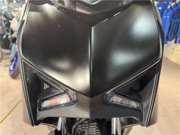 2024 YAMAHA XMAX 300 TECH MAX