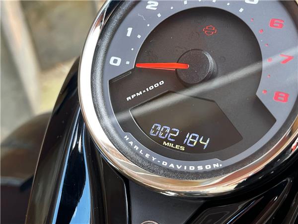 2023 Harley-Davidson Softail