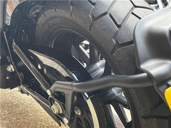 2023 Harley-Davidson Softail