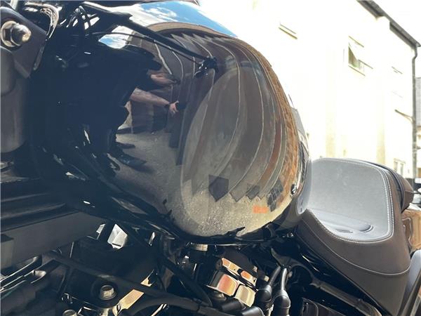 2023 Harley-Davidson Softail