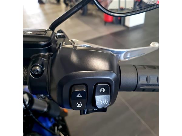 HARLEY-DAVIDSON STREET BOB