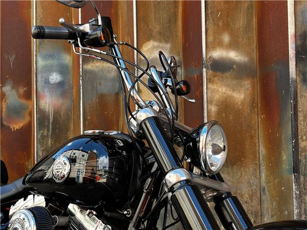 2014 Harley-Davidson Softail