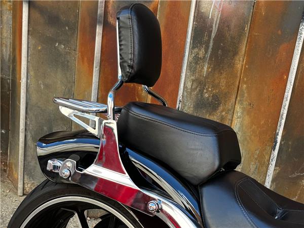 2014 Harley-Davidson Softail