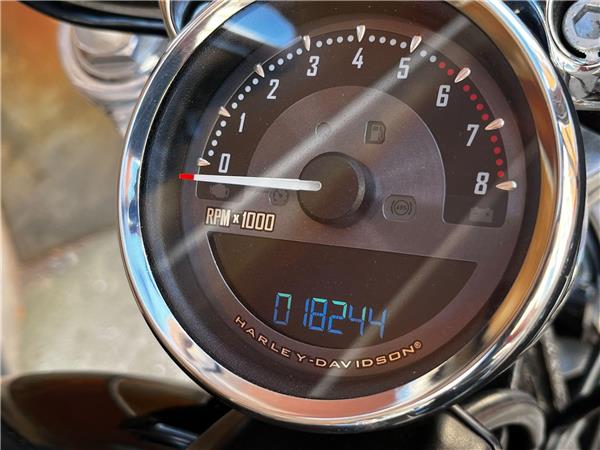 2014 Harley-Davidson Softail