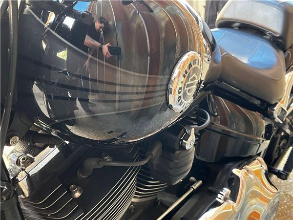 2014 Harley-Davidson Softail