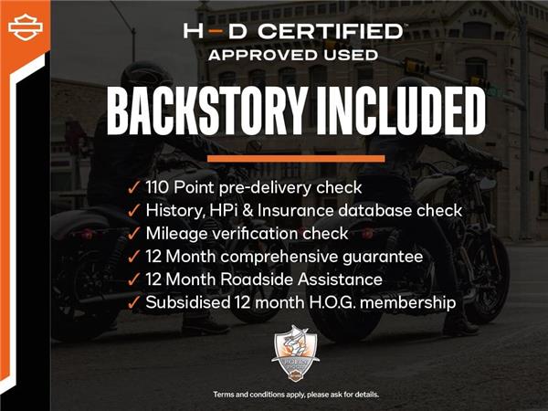 2021 HARLEY-DAVIDSON Softail