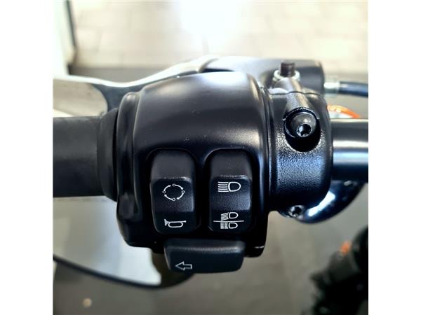 HARLEY-DAVIDSON XL 1200 CX ROADSTER