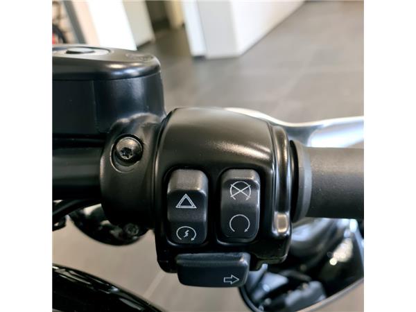 HARLEY-DAVIDSON XL 1200 CX ROADSTER