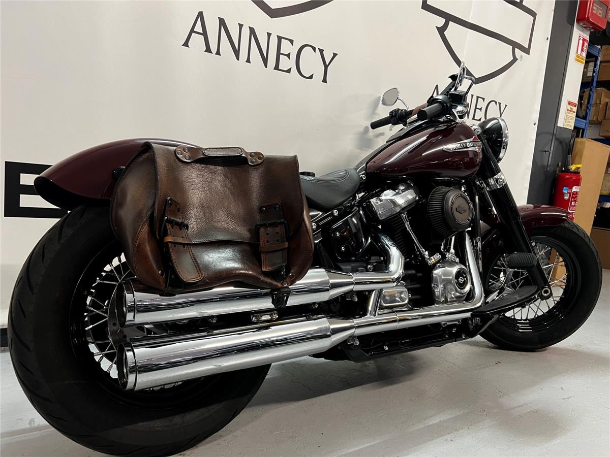 2020 HARLEY-DAVIDSON SLIM