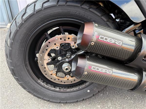 2024 HARLEY-DAVIDSON SOFTAIL FXFBS FAT BOB 114