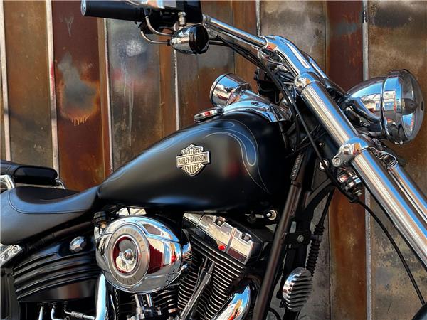 2010 Harley-Davidson Softail