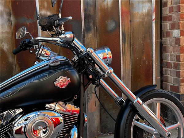 2010 Harley-Davidson Softail