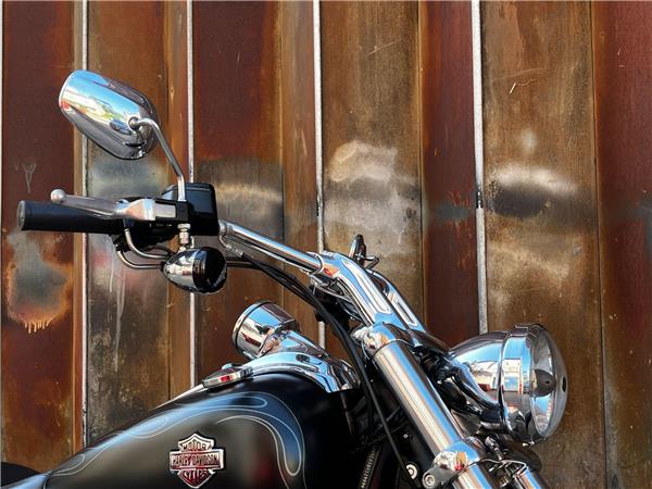 2010 Harley-Davidson Softail