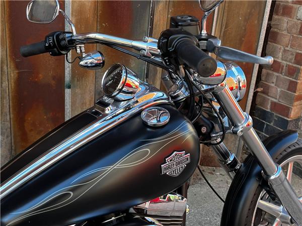 2010 Harley-Davidson Softail