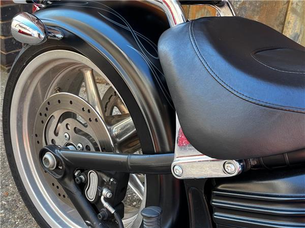 2010 Harley-Davidson Softail