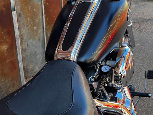 2010 Harley-Davidson Softail