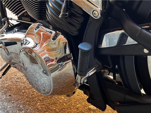 2010 Harley-Davidson Softail