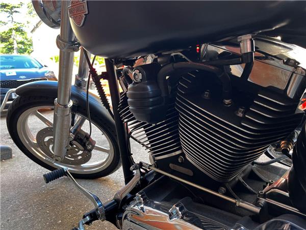 2010 Harley-Davidson Softail