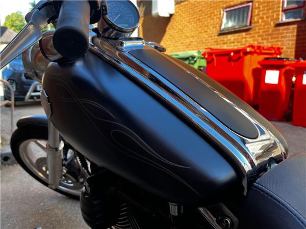 2010 Harley-Davidson Softail