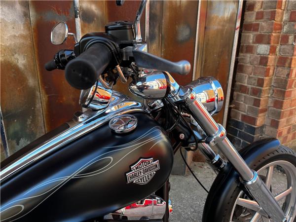 2010 Harley-Davidson Softail