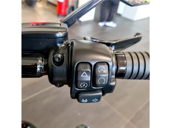 HARLEY-DAVIDSON BREAKOUT 