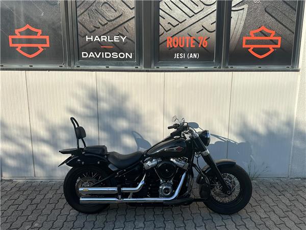 2019 Softail Slim