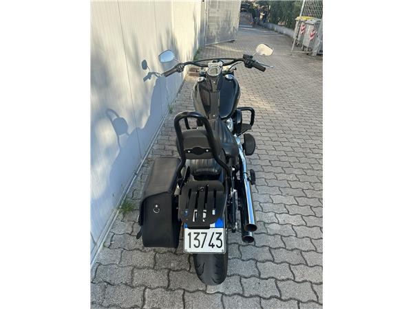 2019 Softail Slim
