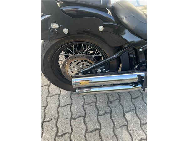 2019 Softail Slim