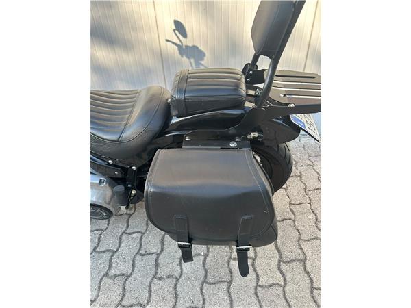 2019 Softail Slim