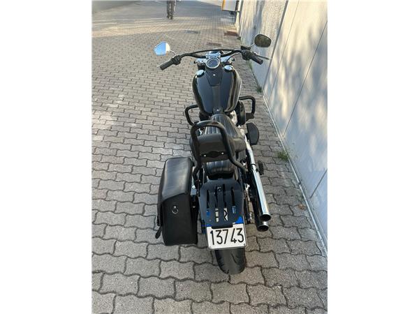 2019 Softail Slim
