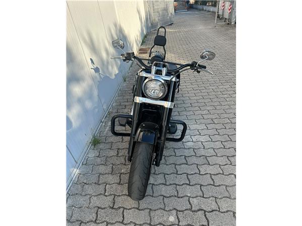 2019 Softail Slim